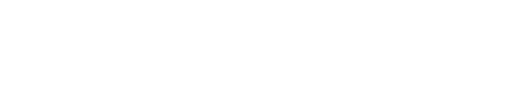 Toyota Tsusho Group